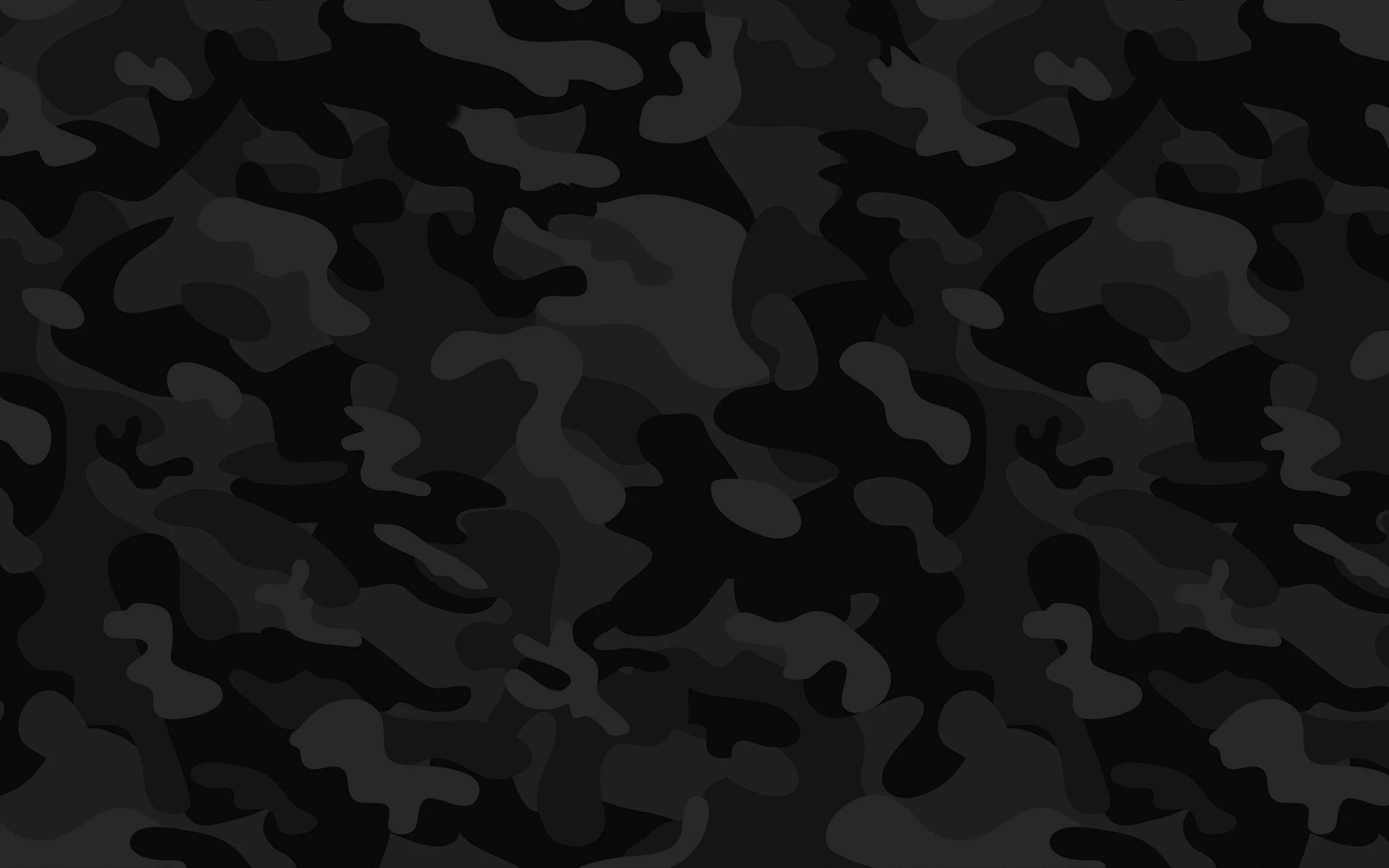 2048163.webp