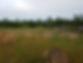 image000000(24).jpg