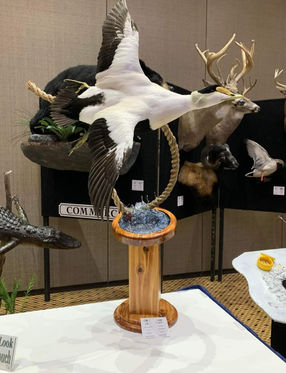 Michigan Taxidermist Association (5).JPEG