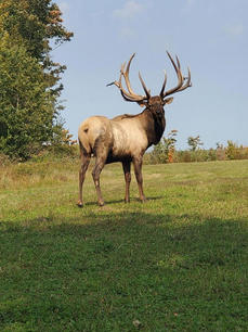 Hogsback Ranch Gallery | Hogsback Ranch