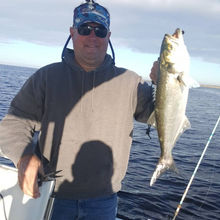 guy Catches a Fish on a Boat in Florida