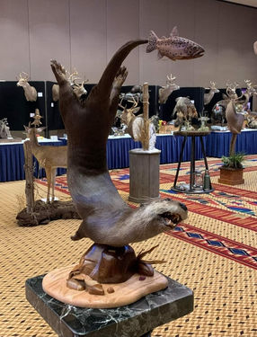 Michigan Taxidermist Association (6).JPEG