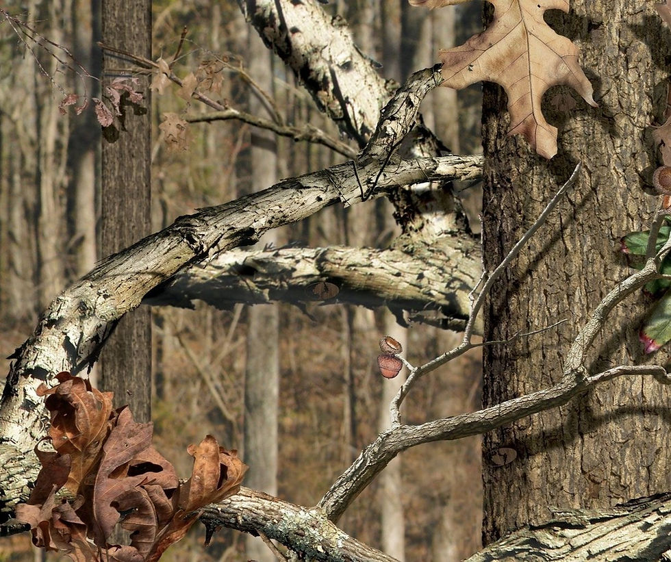 Camo pattern_edited.jpg