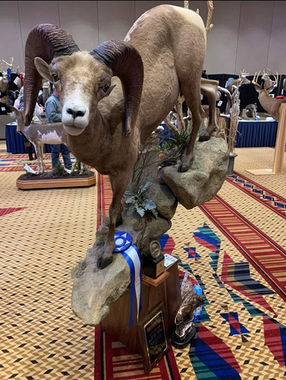 Michigan Taxidermist Association (7).JPEG