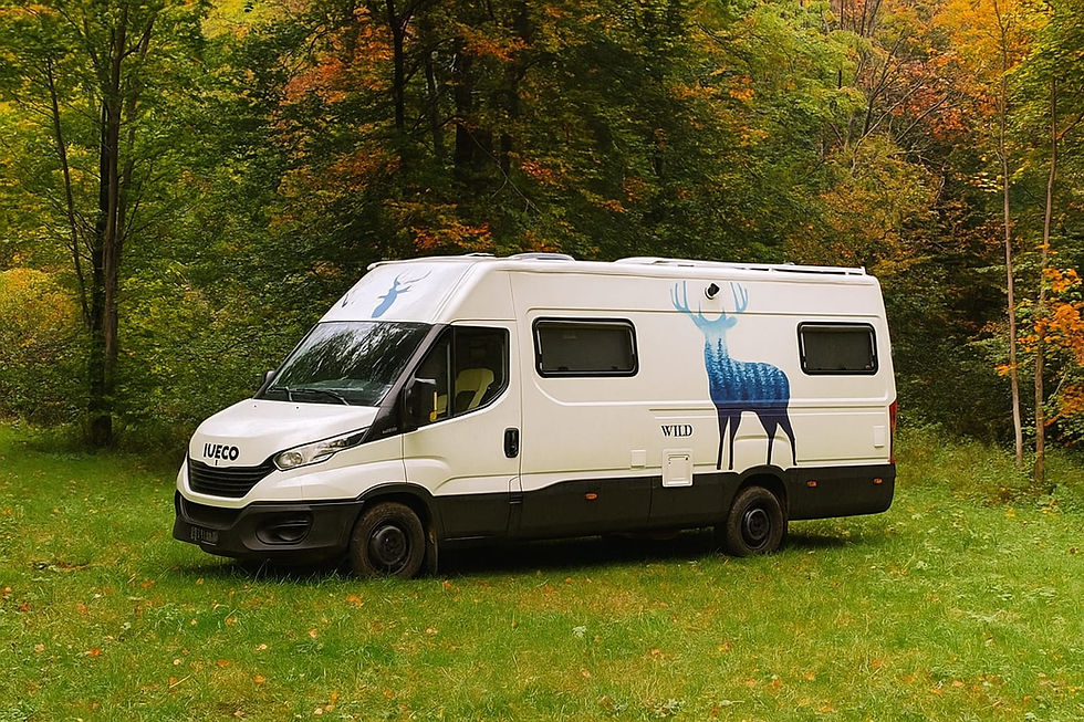 Our Campervans
