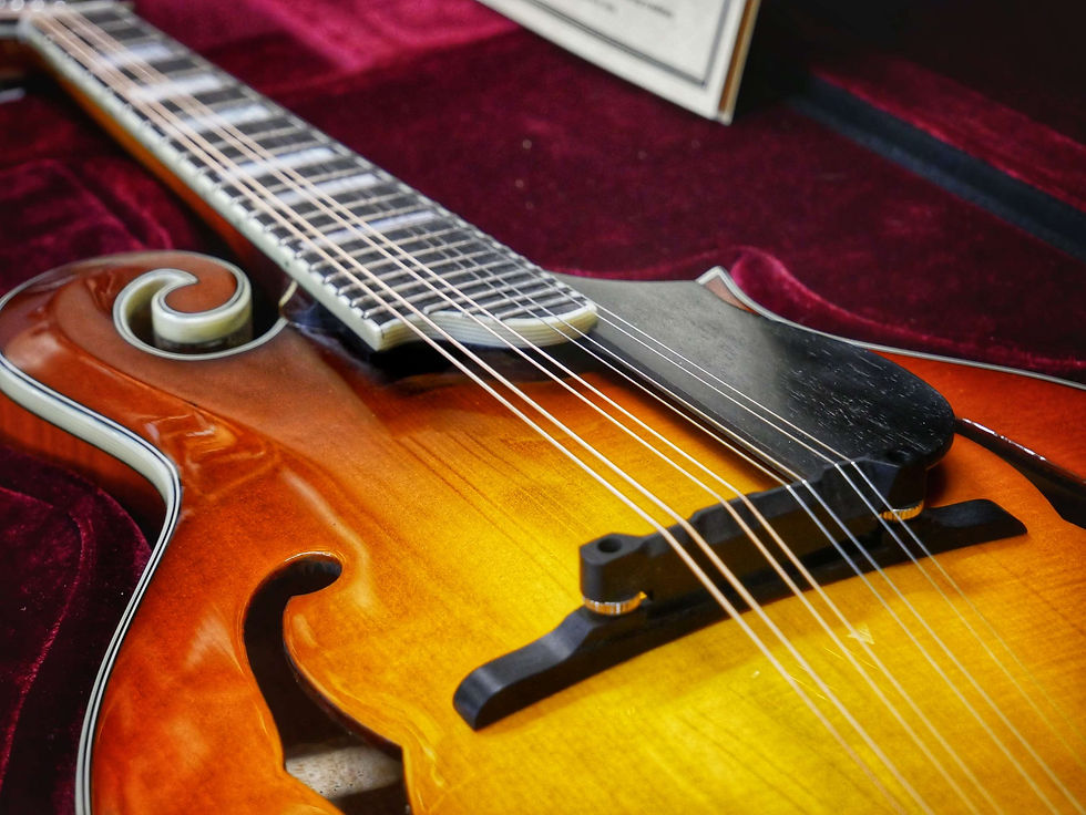 Miniaturebillede: Eastman MD615E-GB Mandolin