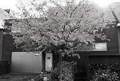 Okergeel shiatsupraktijk & yoga studio