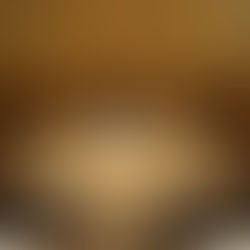 Updates from the Music Ministry