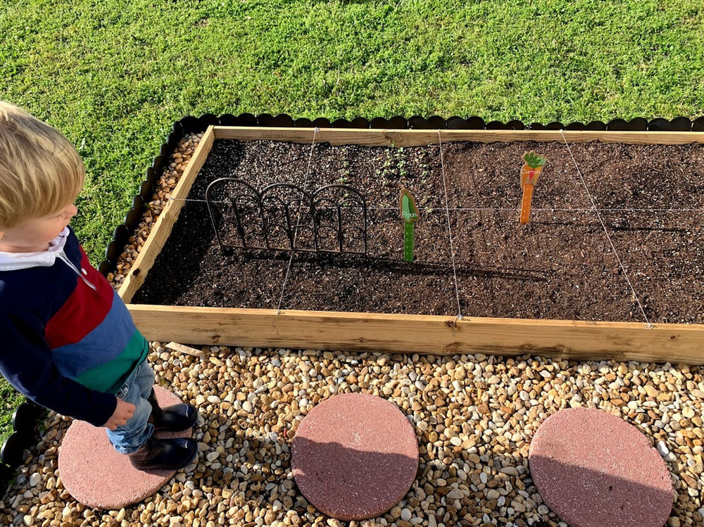 Playing Preschool - Unit 14: Plants