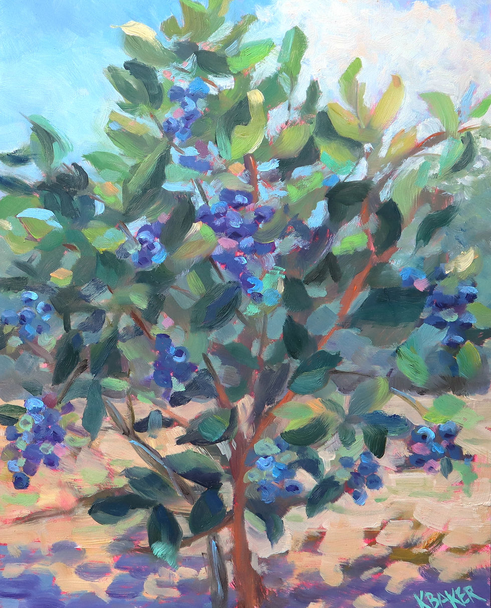 Blueberry Hill