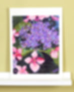 Thumbnail: Pink Hydrangeas