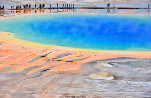 Yellowstone N.P