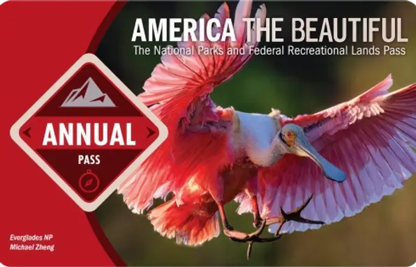 pass American the Beautiful