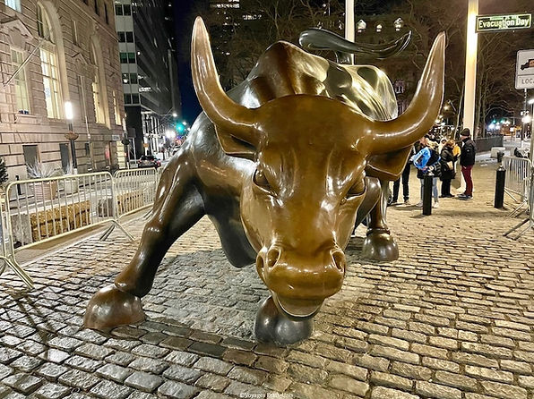 Charging Bull - NY