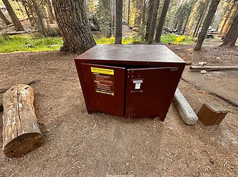 Bear Boxe-Sequoia & Kings Canyon N.P