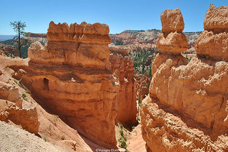Queens Garden Trail - Bryce Canyon NP