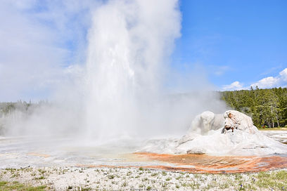 Yellowstone NP Geyser