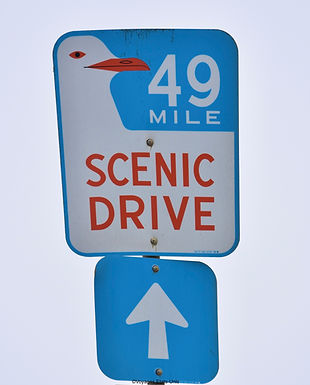 49-Mile Scenic Drive - San Francisco