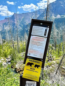 Warning Bear-Glacier N.P