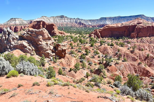 Panorama Point Kodachrome Basin SP