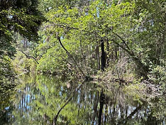 Homosassa Springs Wildlife SP