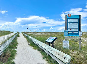 Shell Beach - Alabama