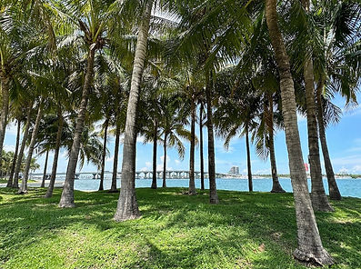 Maurice A. Ferre Park