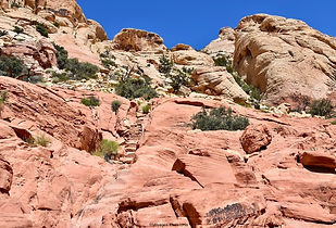 Calico Tanks Trail