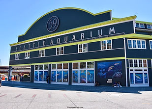 Seattle Aquarium Waterfront-Seattle