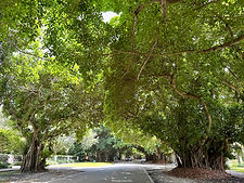 Old Custer Rd Coconut Grove - Miami