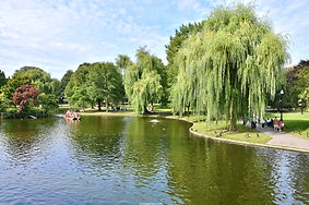 Boston Public Garden