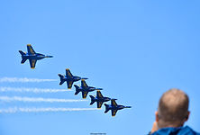 Blue Angel - Pensacola Beach - Floride