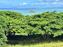 Kualoa Ranch Oahu