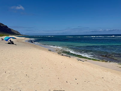 Mokulē'ia Beach Oahu