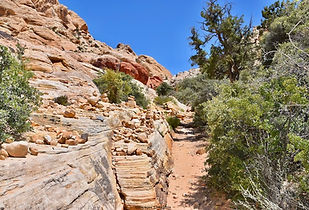 Calico Tanks Trail