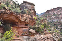 Canyon Overlook Trail