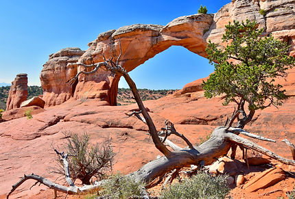 Broken Arch - Aches NP