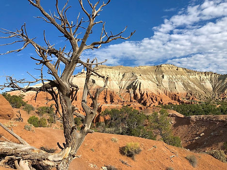 Angel's Palace Trail Kodachrome Basin SP