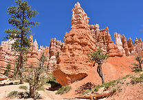 Queens Garden et Navajo Loop Trail - Bryce Canyon NP