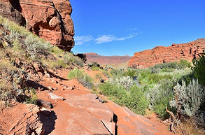 Mill Creek Canyon