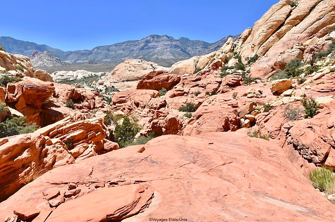 Red Rock Canyon NCA