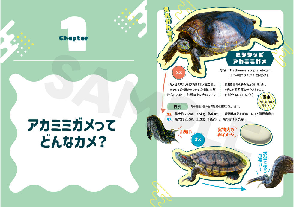 サンプル3
