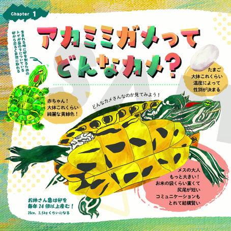 博物ふぇすてぃばる!2026ガクタメ紹介動画