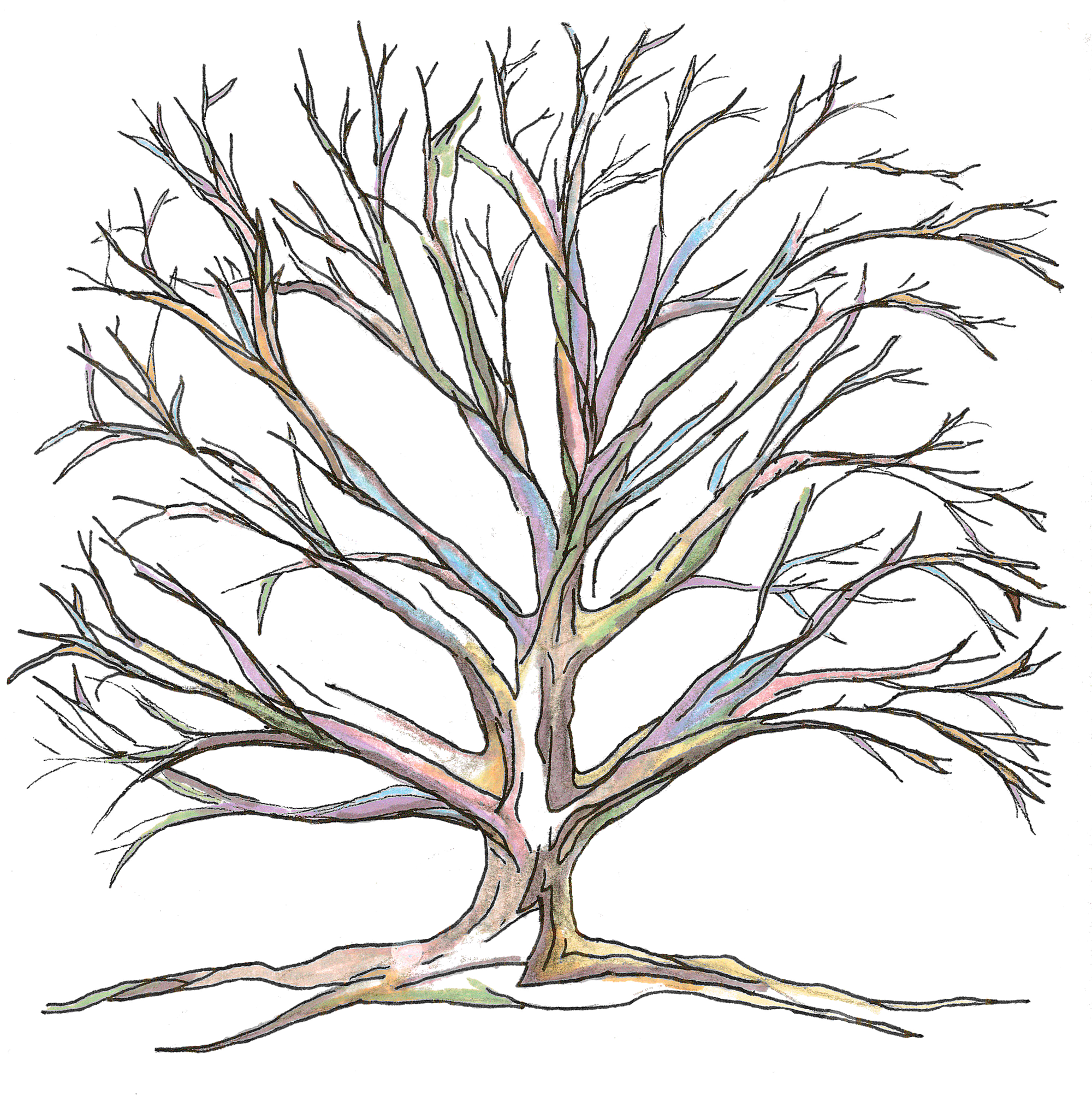 Lost Art Fiber and Textile Studio, LLC