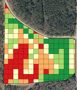 Application map generated by GIS from drone data.