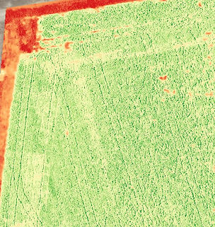 Detail view of sprayer overlap in soybeans captured with drone.