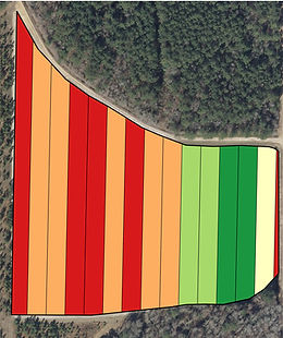 Application map generated by GIS using drone data.