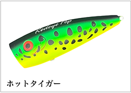 IMG_0745.PNG