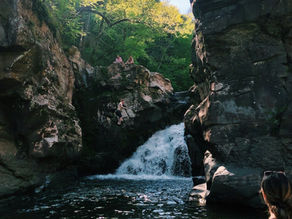 An Interview with a Solo Traveler