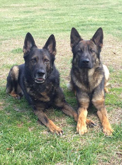 My heart and soul!  Griff and his first born son, Ajay! ❤❤